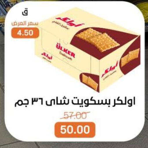 available at بيت الجملة in Egypt - القاهرة