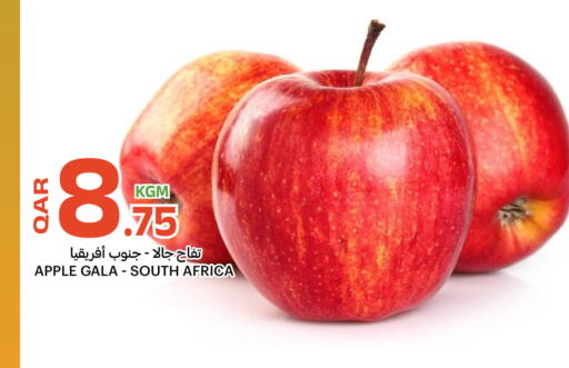 Apple from South Africa available at البلدي اليوم in قطر - الشحانية
