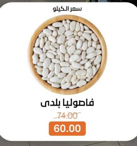 available at بيت الجملة in Egypt - القاهرة