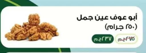 in Egypt - القاهرة