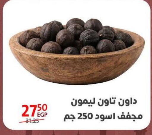 available at Arab DownTown in Egypt - Cairo