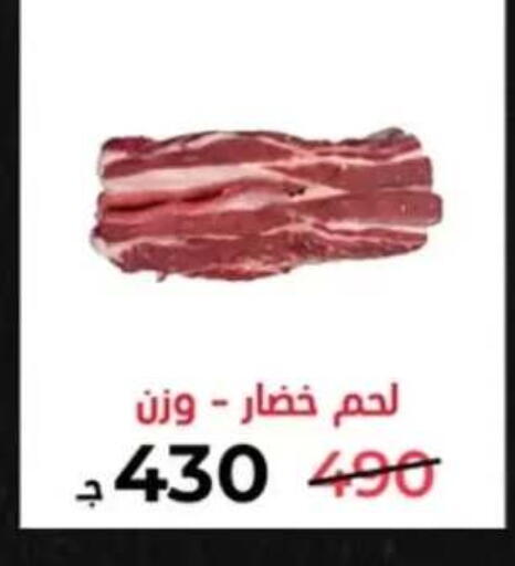 in Egypt - القاهرة