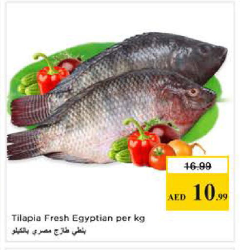 available at Nesto Hypermarket in UAE - Abu Dhabi