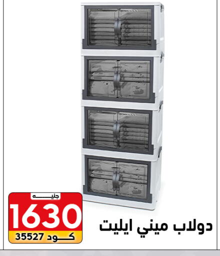 available at Center Elzelzal in Egypt - Cairo