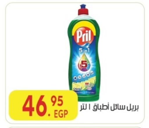 available at المحلاوي ماركت in Egypt - القاهرة