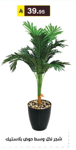 available at الحسين توب أب in مملكة العربية السعودية, السعودية, سعودية - الرياض