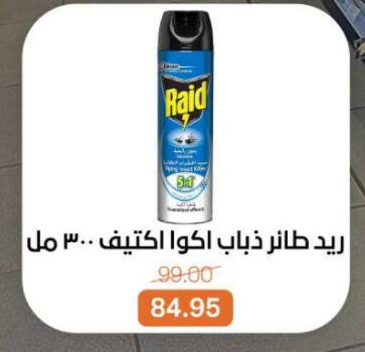 available at بيت الجملة in Egypt - القاهرة
