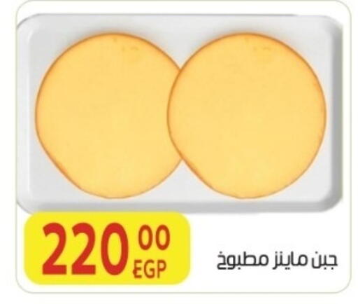 available at المحلاوي ماركت in Egypt - القاهرة
