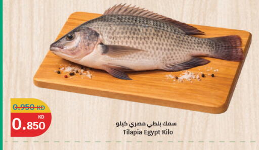 available at سيتي هايبرماركت in الكويت - محافظة الجهراء