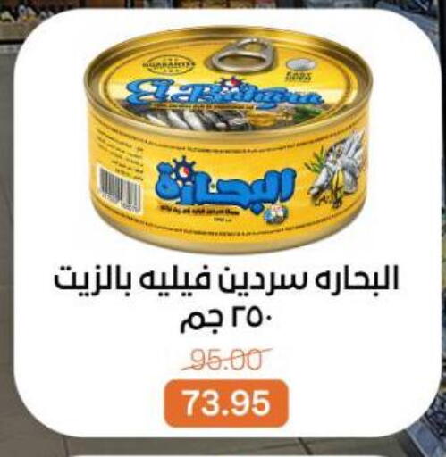 available at بيت الجملة in Egypt - القاهرة