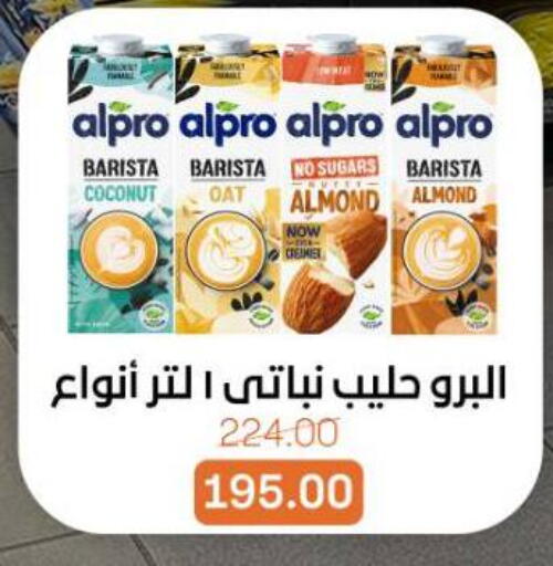Coconut available at بيت الجملة in Egypt - القاهرة