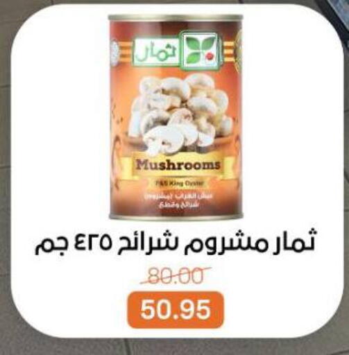available at بيت الجملة in Egypt - القاهرة