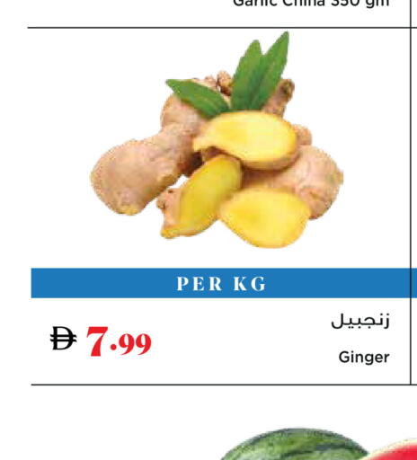 Ginger available at تروليز سوبرماركت in الإمارات العربية المتحدة , الامارات - دبي