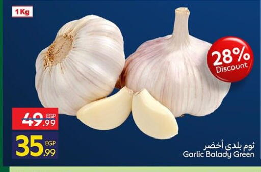 Garlic available at Carrefour  in Egypt - Cairo