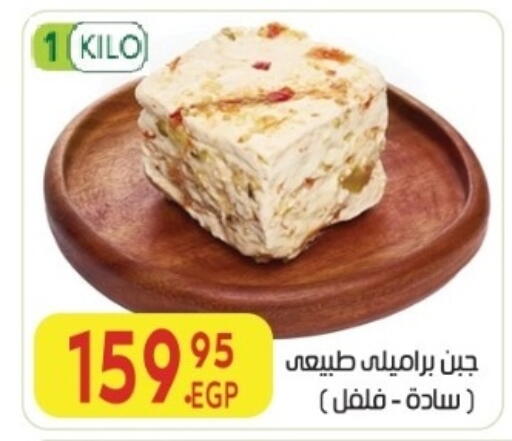 available at المحلاوي ماركت in Egypt - القاهرة