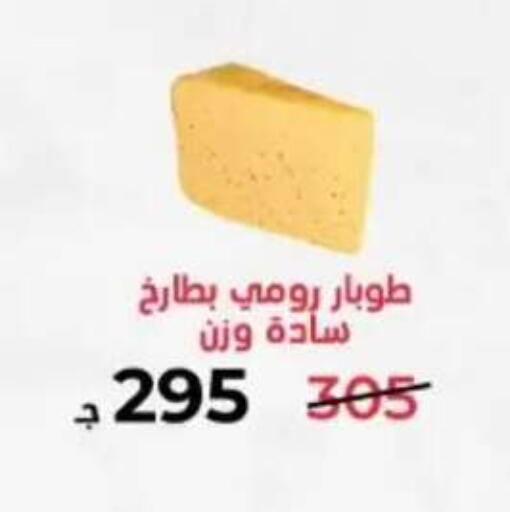 in Egypt - القاهرة