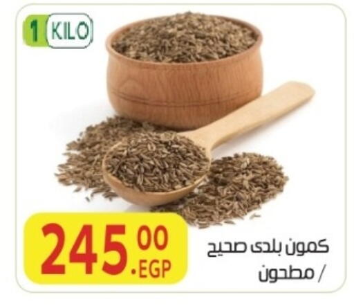 available at المحلاوي ماركت in Egypt - القاهرة