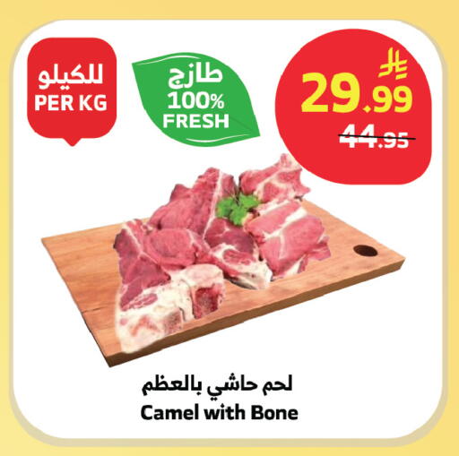 available at الراية in مملكة العربية السعودية, السعودية, سعودية - الباحة