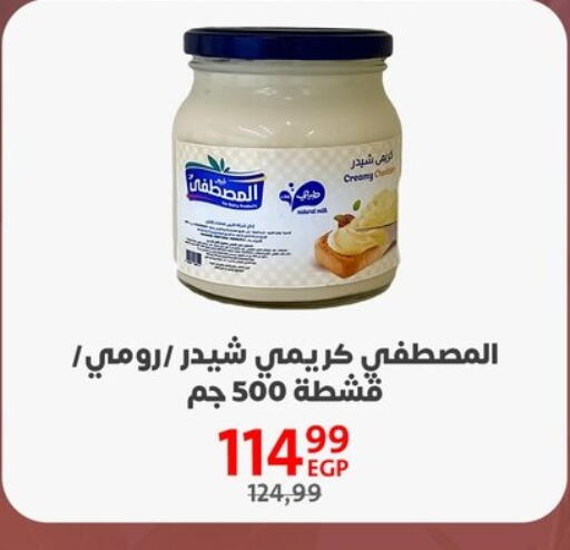 available at Arab DownTown in Egypt - Cairo