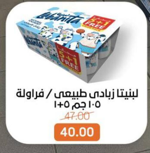 available at بيت الجملة in Egypt - القاهرة