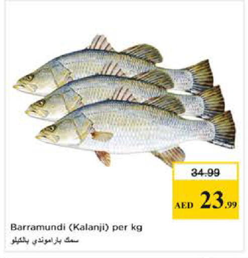 available at Nesto Hypermarket in UAE - Abu Dhabi