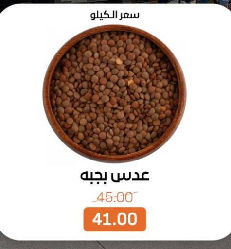 available at بيت الجملة in Egypt - القاهرة