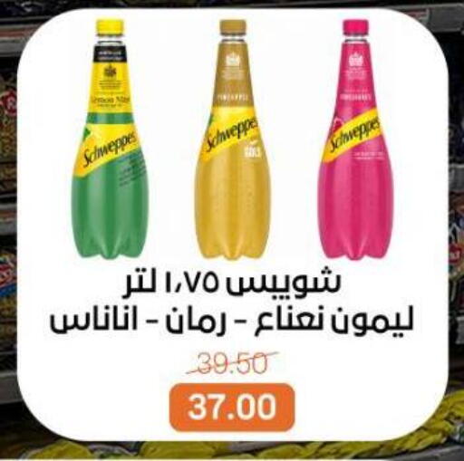 available at بيت الجملة in Egypt - القاهرة