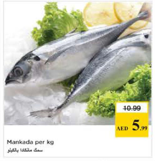 available at Nesto Hypermarket in UAE - Abu Dhabi