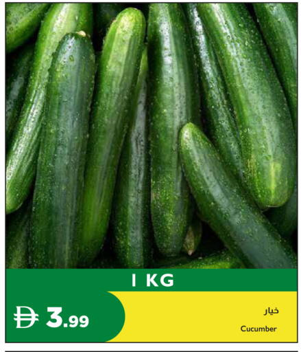 Cucumber available at إسطنبول سوبرماركت in الإمارات العربية المتحدة , الامارات - دبي