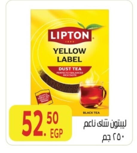available at المحلاوي ماركت in Egypt - القاهرة