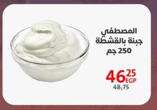 available at Arab DownTown in Egypt - Cairo
