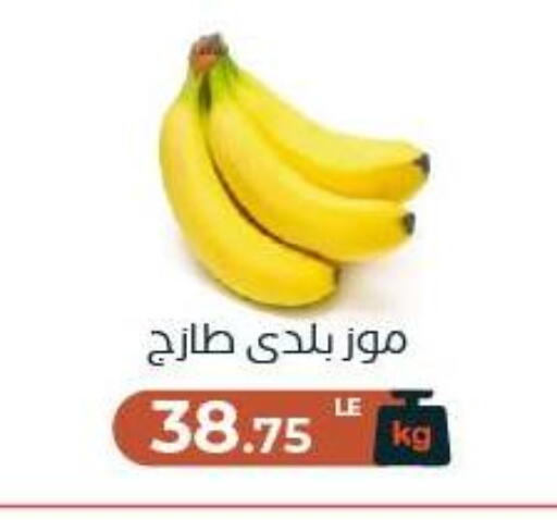 available at عرفة ماركت in Egypt - القاهرة