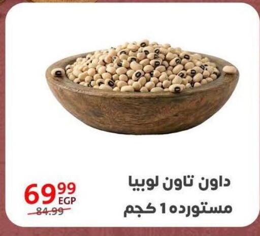 available at Arab DownTown in Egypt - Cairo
