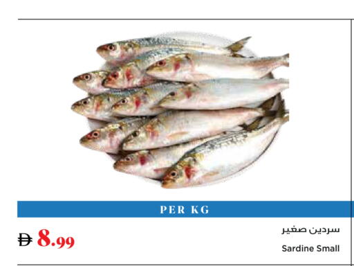 available at تروليز سوبرماركت in الإمارات العربية المتحدة , الامارات - دبي