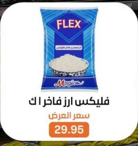 available at بيت الجملة in Egypt - القاهرة