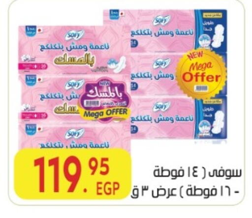 available at المحلاوي ماركت in Egypt - القاهرة