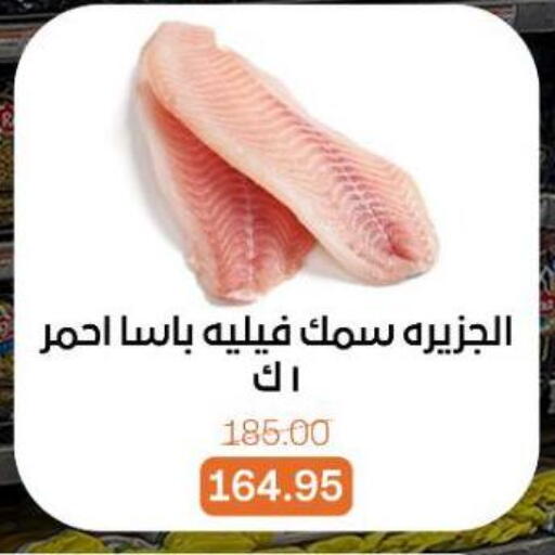 available at بيت الجملة in Egypt - القاهرة