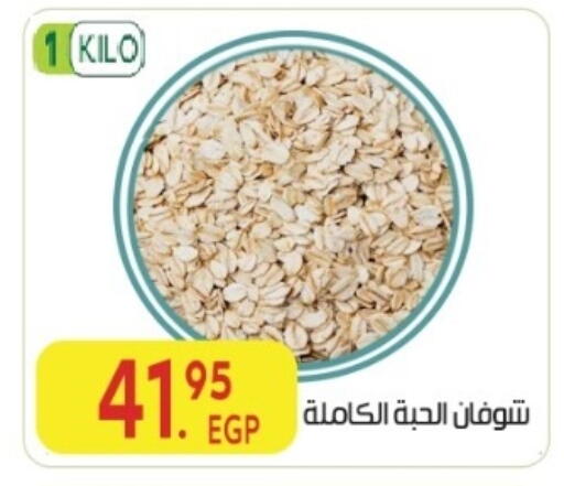 available at المحلاوي ماركت in Egypt - القاهرة