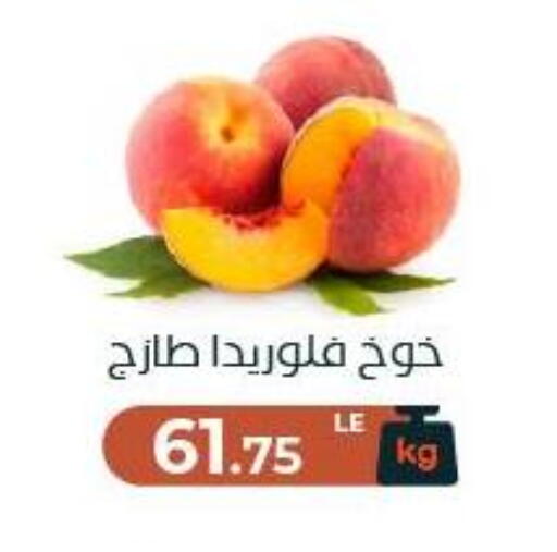 available at عرفة ماركت in Egypt - القاهرة