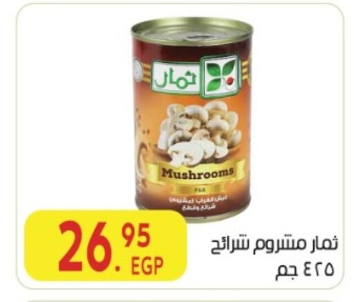 available at المحلاوي ماركت in Egypt - القاهرة
