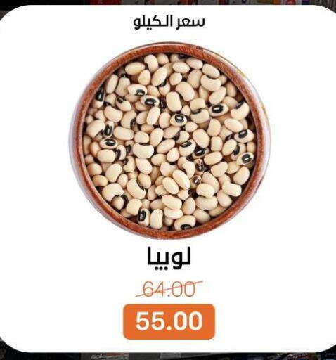 available at بيت الجملة in Egypt - القاهرة