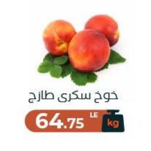 available at عرفة ماركت in Egypt - القاهرة