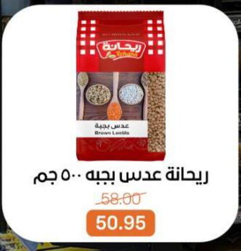 available at بيت الجملة in Egypt - القاهرة