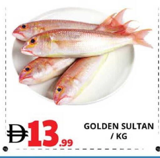 available at EXPRESS AL MADEENA HYPERMARKET LLC in UAE - Abu Dhabi