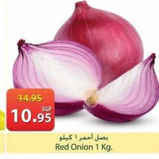 Onion available at سبينس in Egypt - القاهرة