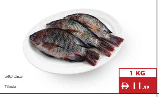available at إسطنبول سوبرماركت in الإمارات العربية المتحدة , الامارات - رَأْس ٱلْخَيْمَة