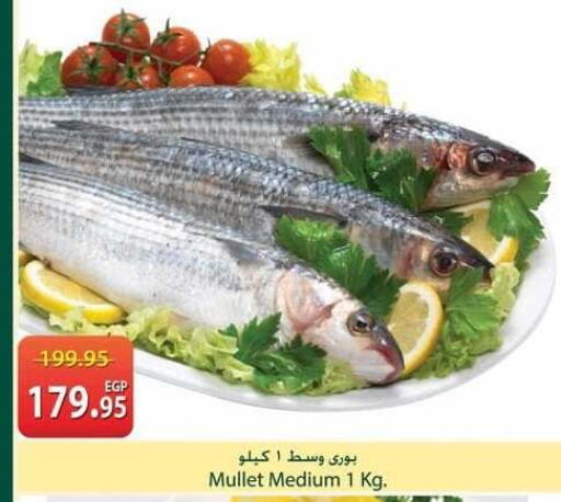 available at سبينس in Egypt - القاهرة