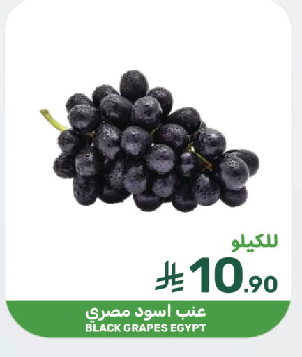 Grapes from Egypt available at  مـزايــا in مملكة العربية السعودية, السعودية, سعودية - سيهات