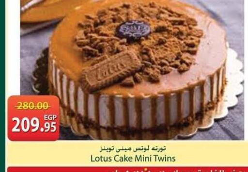 available at سبينس in Egypt - القاهرة