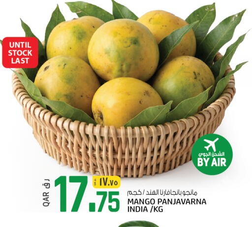 Mango from India available at السعودية in قطر - الوكرة
